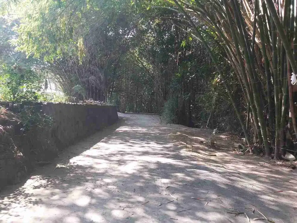 Tanah Pekarangan Dekat Mlati Sleman Yogyakarta