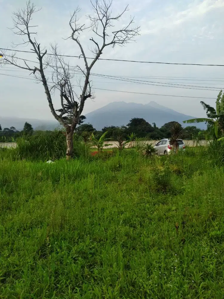 Di Jual Tanah 1000m2 di Desa Bojong Kerta Bogor
