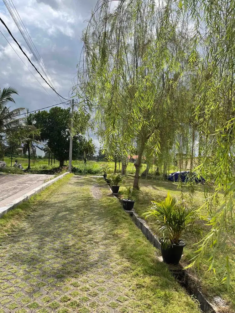 DIJUAL : PLOT KECIL DEKAT UBUD CENTRE