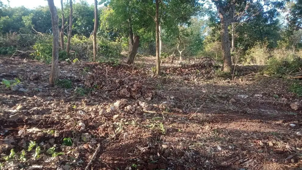 Tanah murah dilingkungan Universitas Udayana,Jimbara