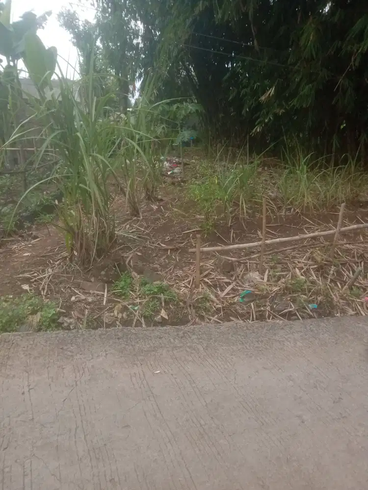 Tanah Murah 165m2 BU Dekat Stasiun Comuter Parung Panjang (TP)