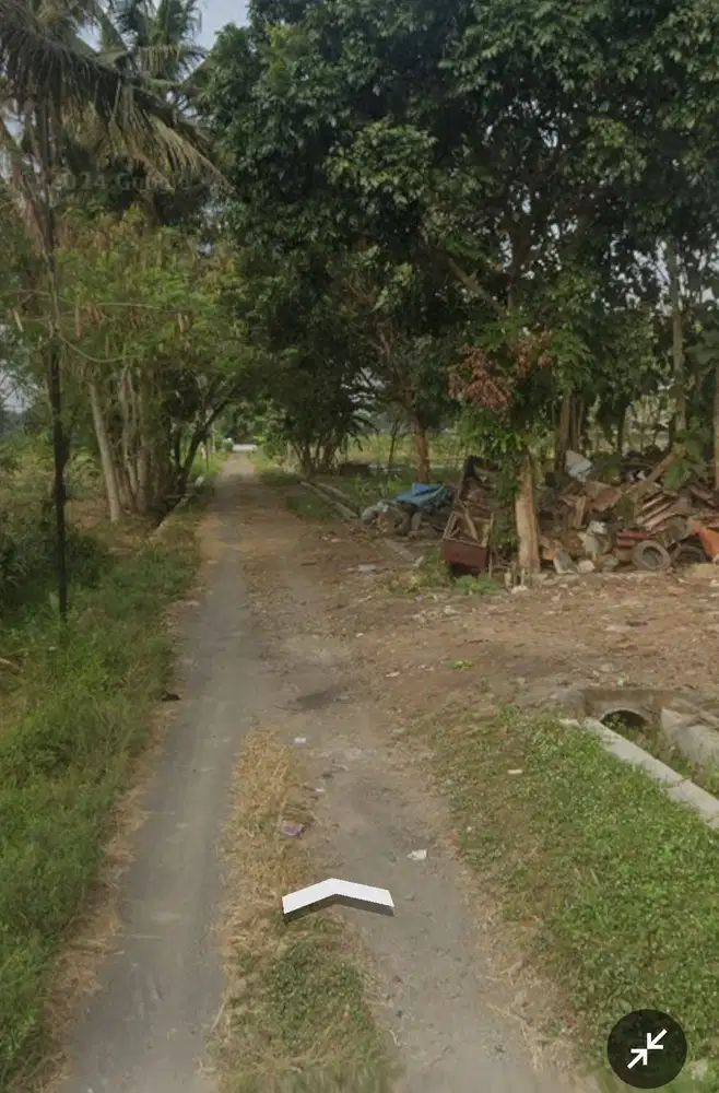 Sawah Margomulyo Seyegan