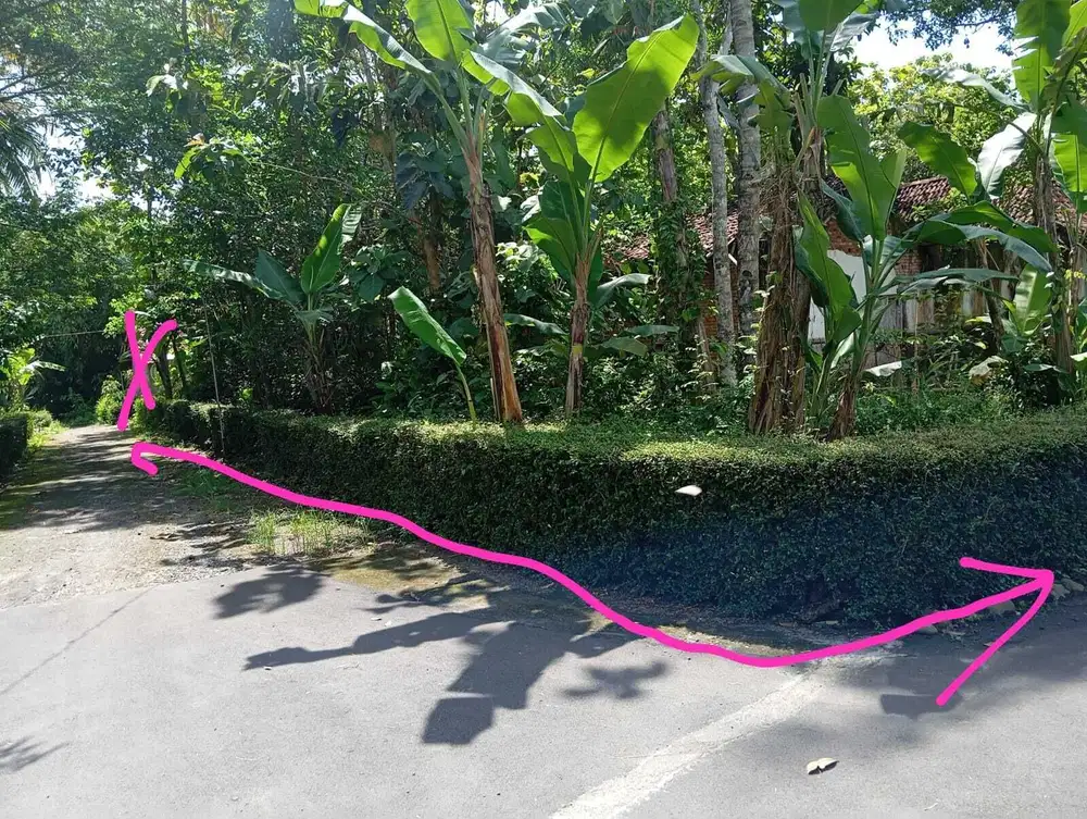 Dijual tanah pekarangan minggir sleman