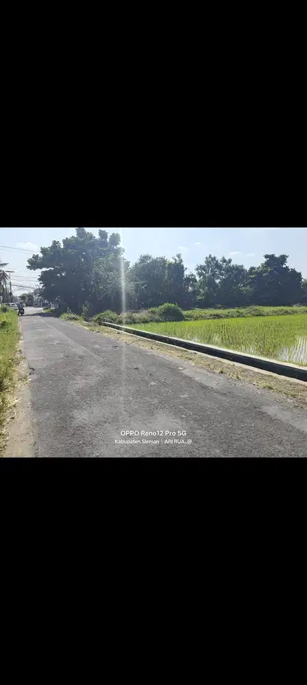 Sawah Ambar ketawang gamping