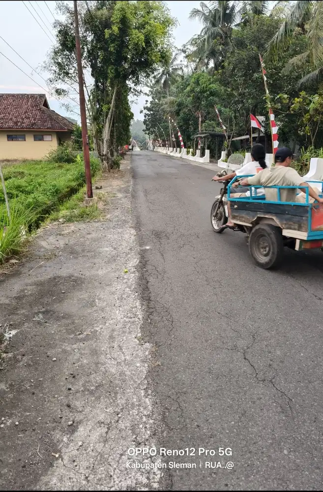 Sawah minggir sleman