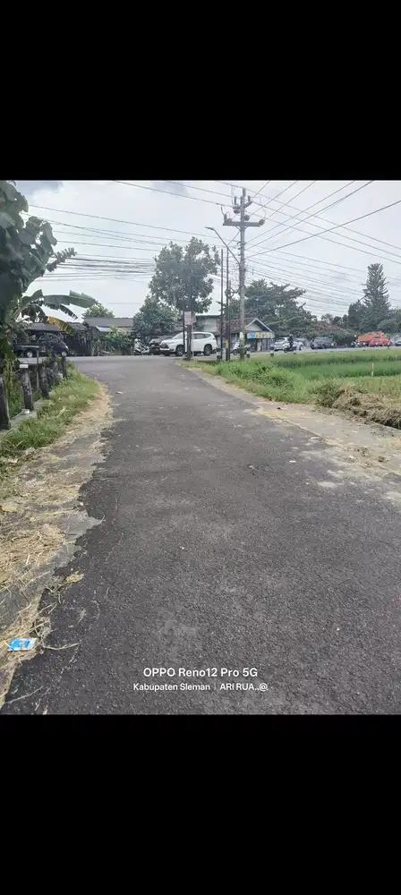 Sawah Balecatur gamping sleman