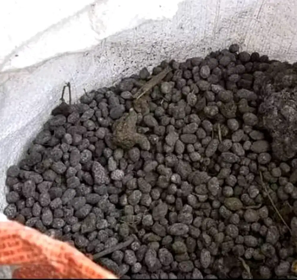 Media tanam pupuk taik kambing per karung