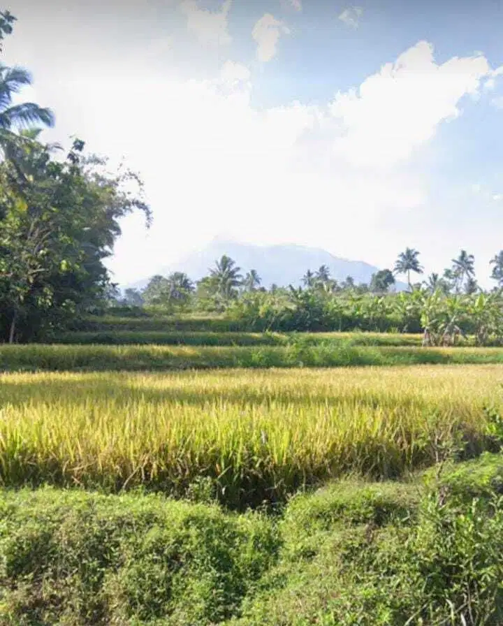 Tanah Murah di Pakem View Gunung Merapi