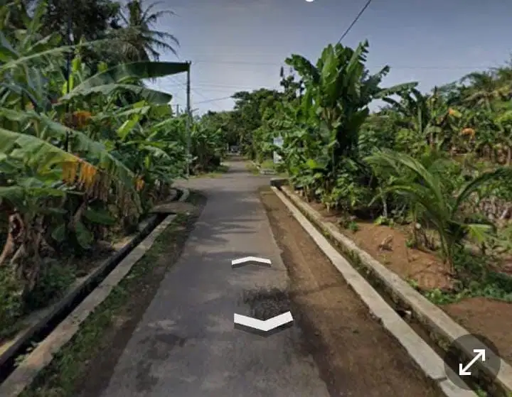 Tanah Di Minggir Sleman Murah