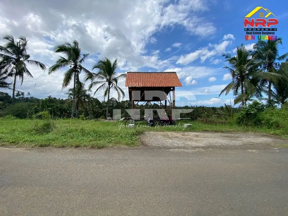 Tanah Sawah view Gunung 400 jtan - Licin Banyuwangi