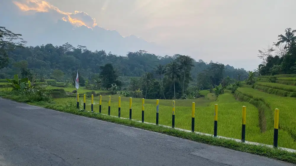 Tanah Sawah Pinggir Jalan Utama Wanayasa Purwakarta