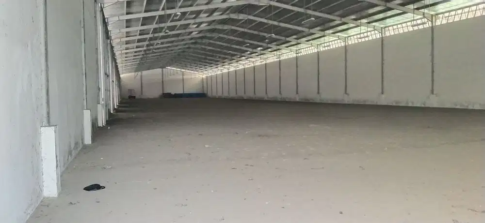 Sewa Gudang Diklat Pemda Curug Tangerang