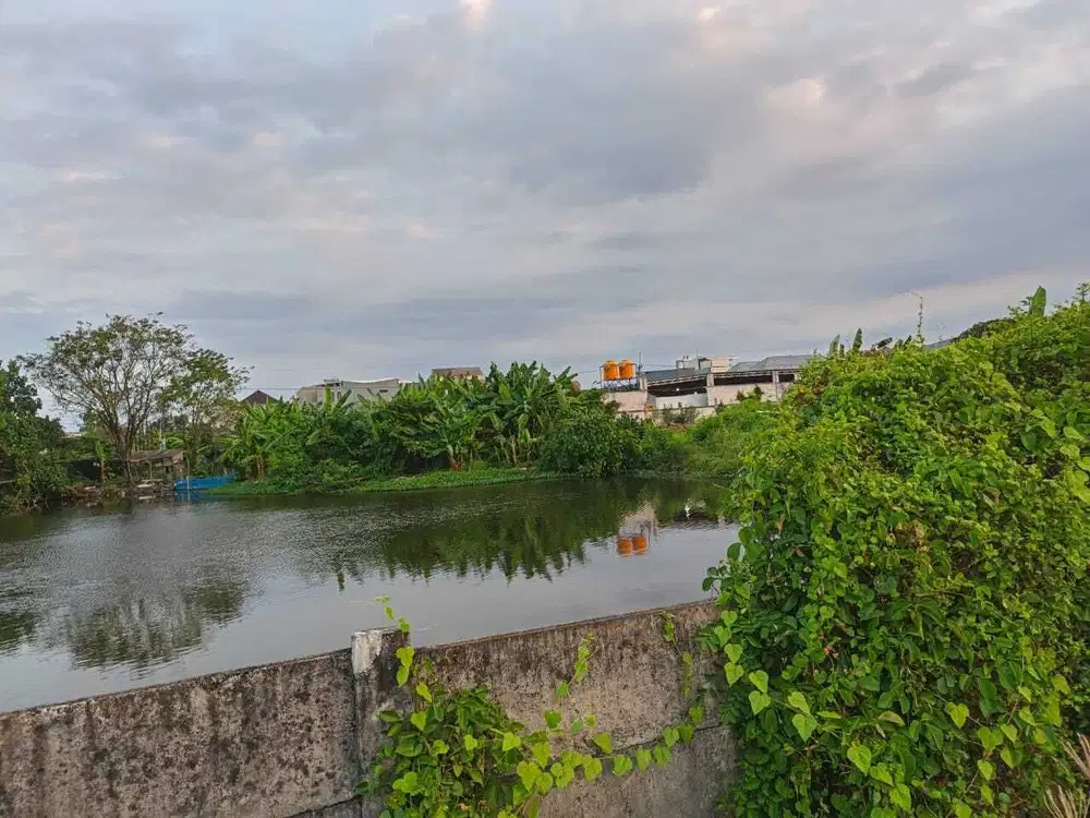 Tanah Dijual Di keputih Tegal Timur Petok D