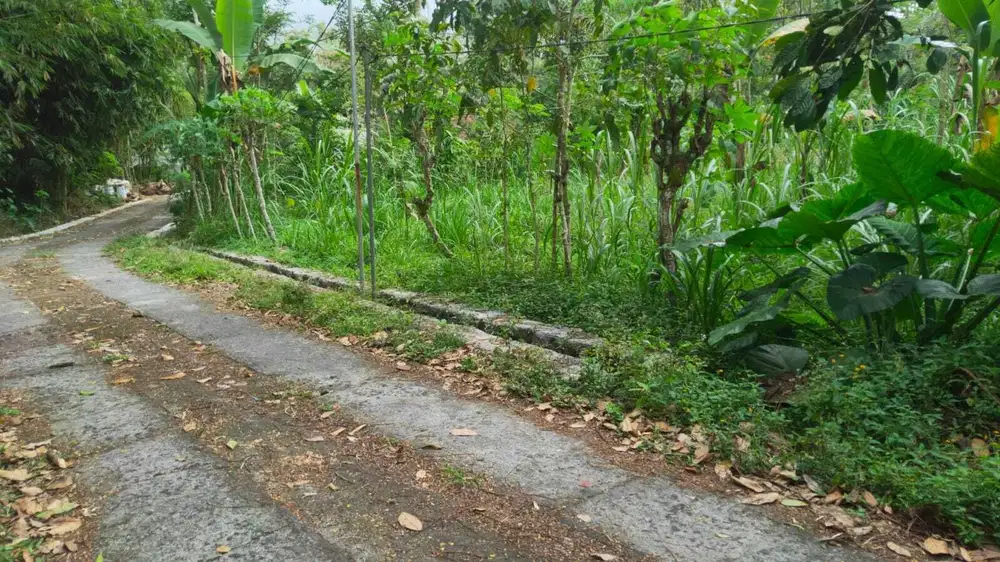 Tanah Murah Girikerto Turi Sleman Yogyakarta