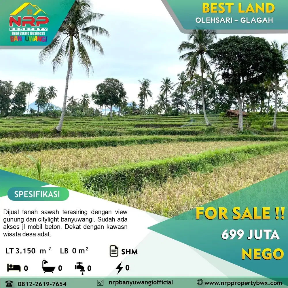 Dijual Tanah Sawah View Gunung - Banyuwangi