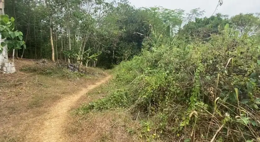 Jual Tanah 4 ha Munjul Purwakarta