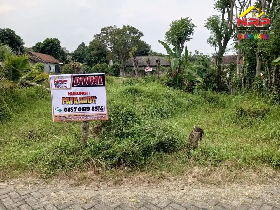 Dijual tanah murah Banyuwangi Dekat SMKN 1 Glagah