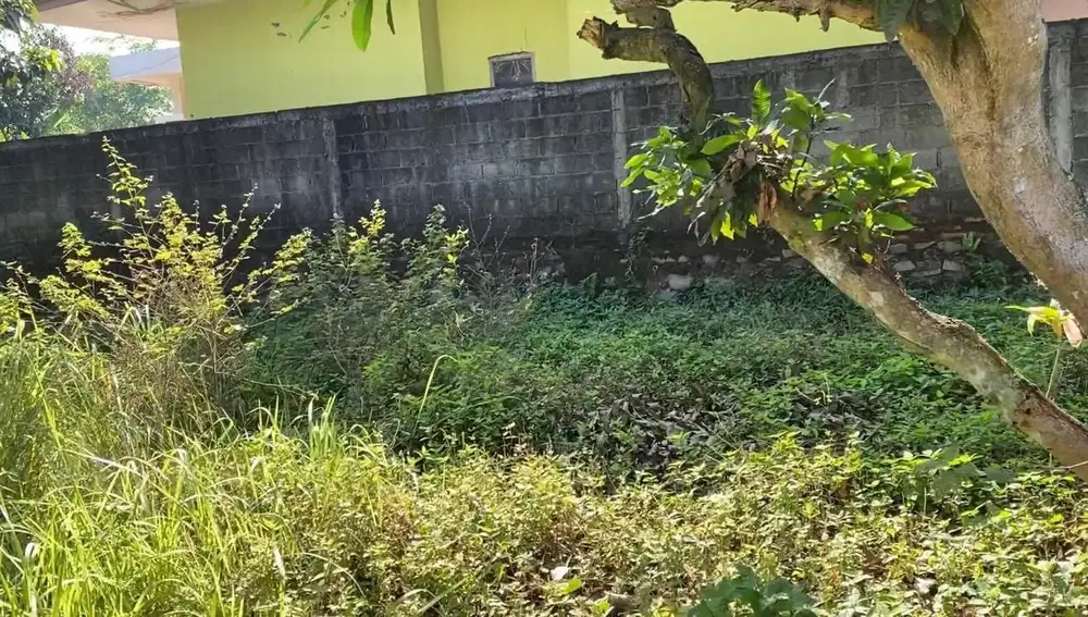 Jual Tanah Daerah Campaka 895