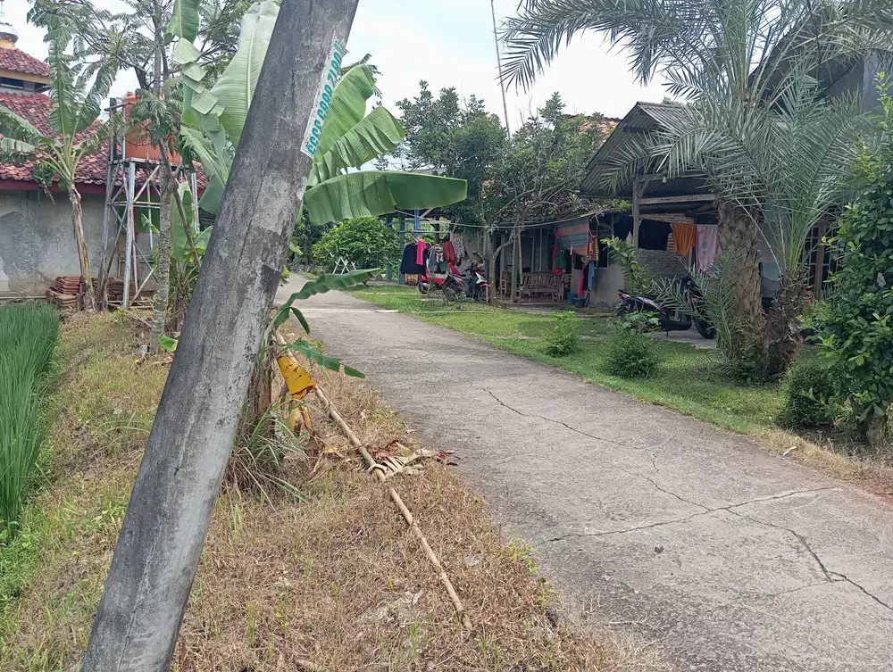 Jual sawah produktif di Campaka Akses mbl &amp; smping rmh wrga