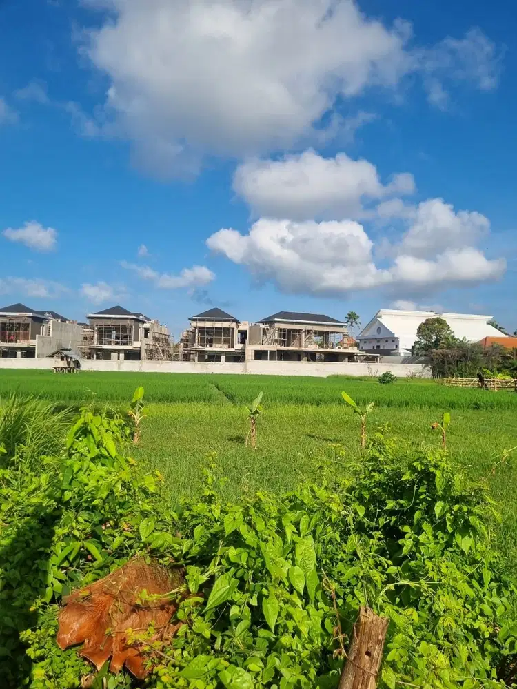 RARE FIND : SMALL PLOT FOR LEASE IN THE HEART OF SEMINYAK