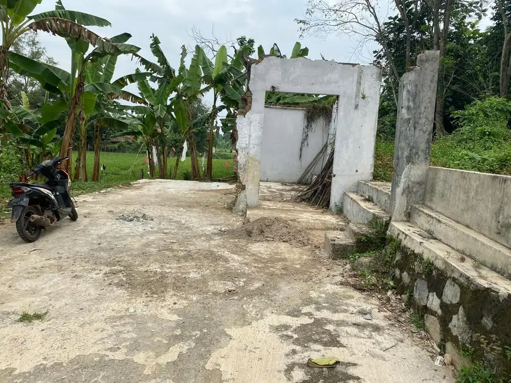 Jual Kebun &amp; Sawah Murah Purwakarta Campaka Lt 1.456 m2