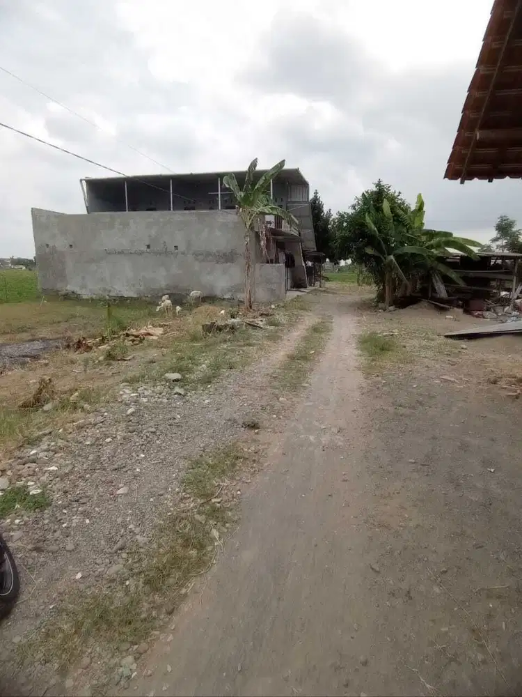 Di jual tanah murah di candi gebang dkt kampus amikom condongcatur