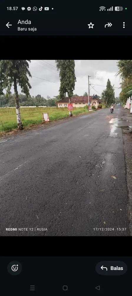 Sawah minggir sleman