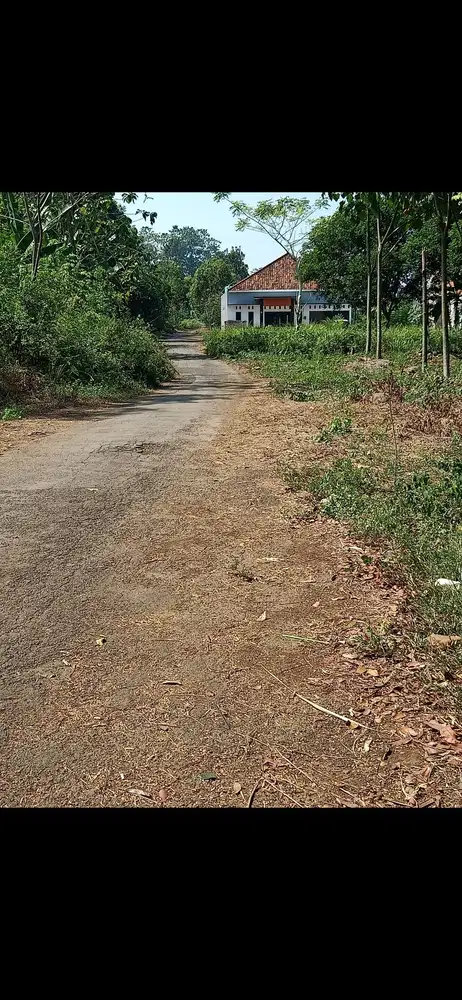 Tanah di barat alun2 kajen cocok buat perumahan