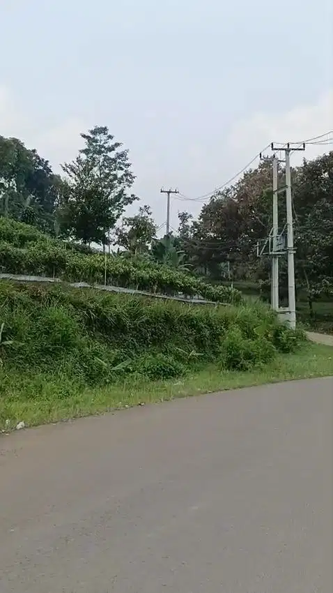 Jual tanah murah LT 1ha, shm,  akses jalan kabupaten