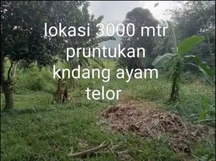 Jual tanah murah LT 3000m², akses masuk mbl
