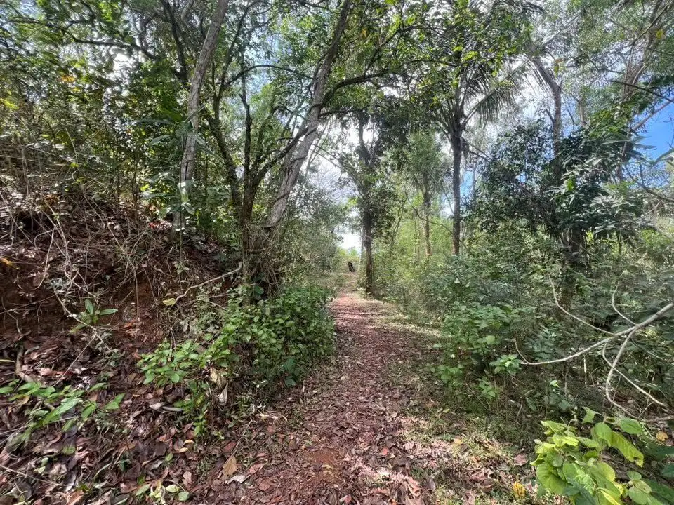 Tanah murah di Kuta Mandalika Lombok.. Cocok utk villa atau investasi