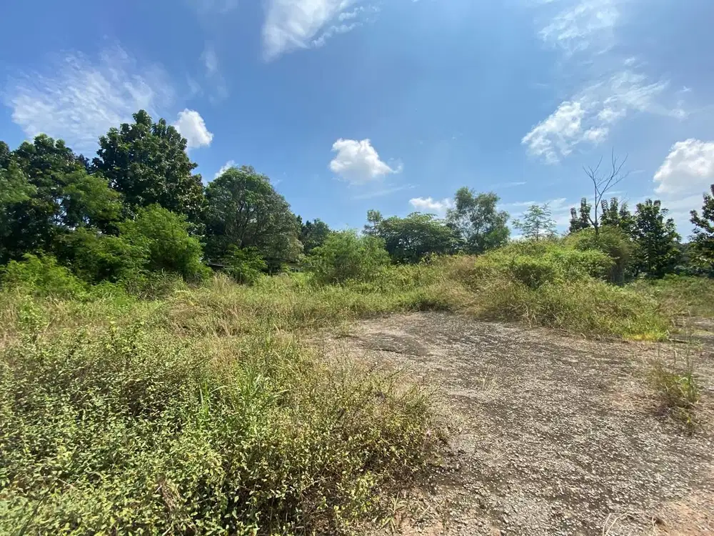 JUAL TANAH UNTUK REST AREA TOL CIPALI KM 76 LT 1200 m2