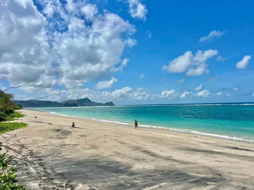 Tanah pinggir pantai Torok Lombok. Cocok untuk hotel atau villa