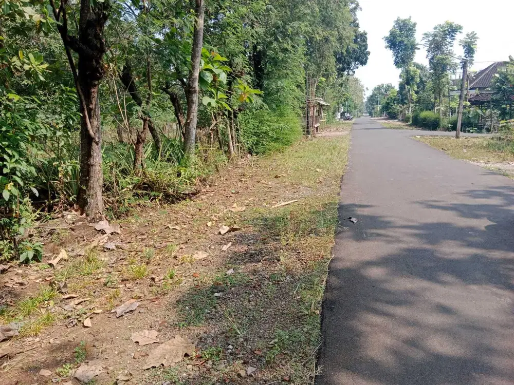 Tanah 600m² muka 40m jalan DPU 9m , kenokorejo polokarto sukoharjo