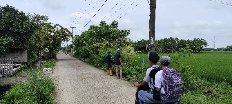 Di Jual Tanah Sawah Srategis Pinggir Jalan Cikarang