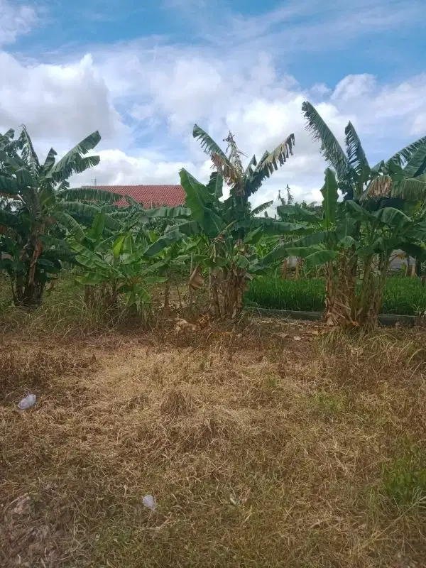 Dijual tanah darat Wanasari Cibitung Bekasi