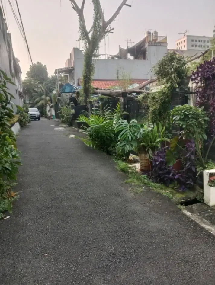 Dijual  tanah murah di Tebet Barat, jalan 1,5 mobil dekat jalan lebar