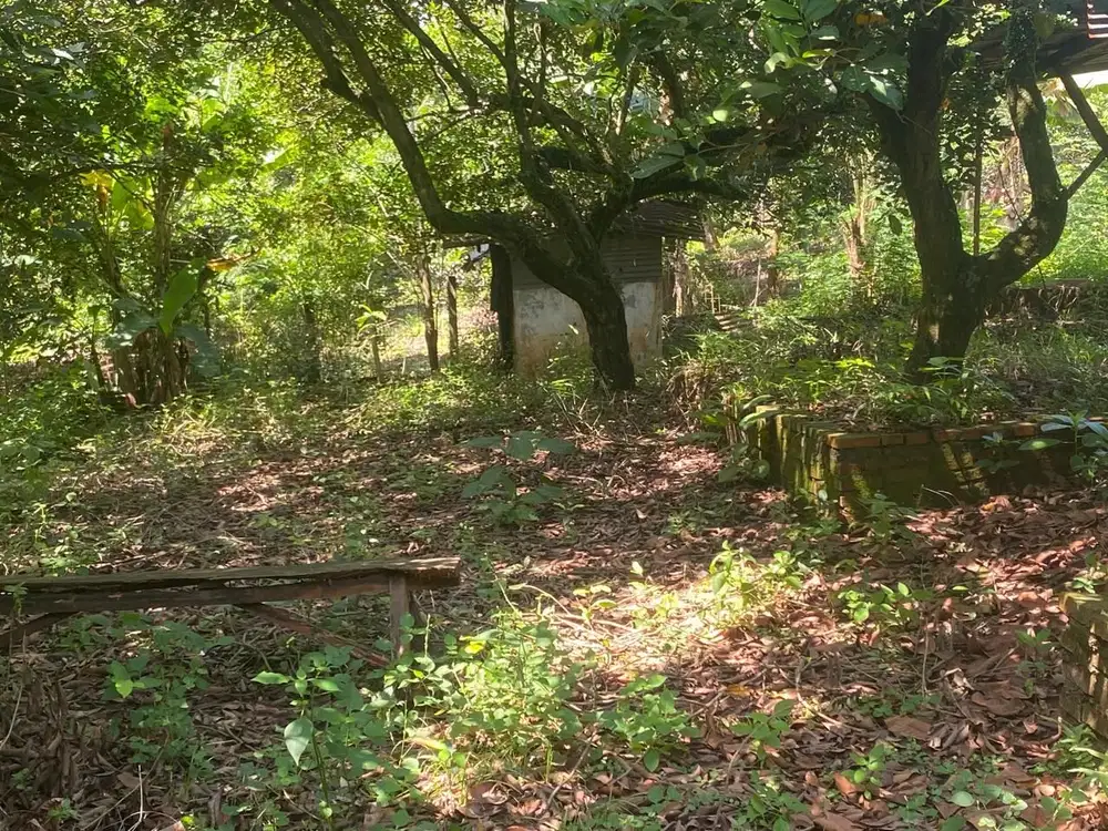 Jual Kebun + Rumah Purwakarta Campaka Dekat Tol Cipali KM 76 Lt 8.45