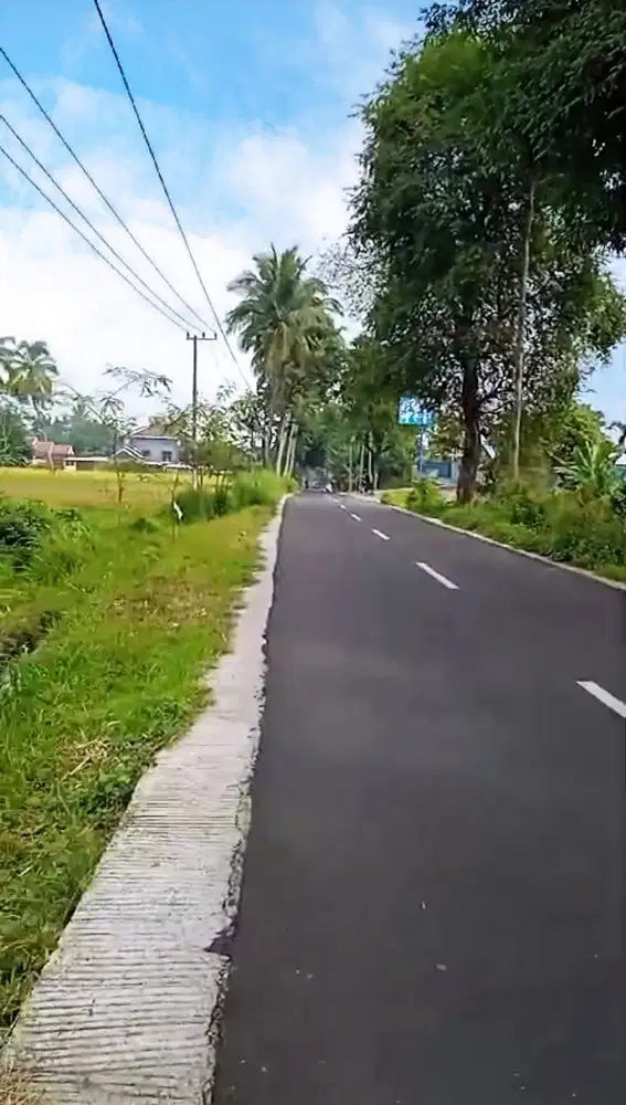 Dijual tanah di dekat Pasar Pujer Bondowoso