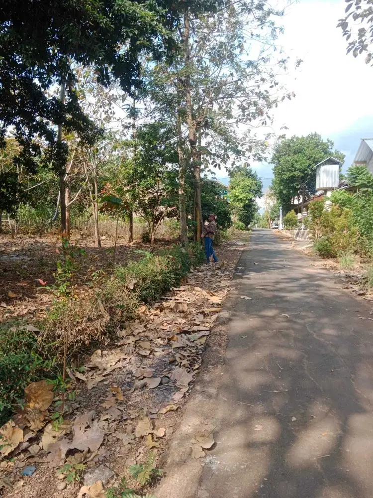 pekarangan 818 m² muka 26m jalan 5m , 30m jln DPU, paluhombo bendosari