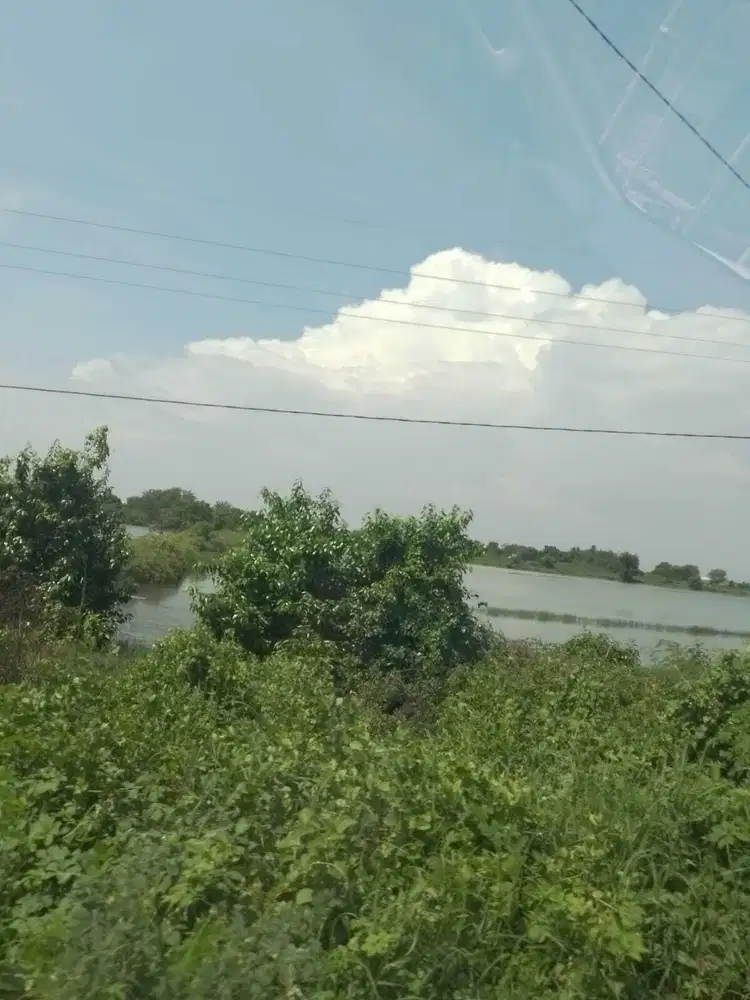 Tambak Tlocor Jabon dekat Maspion