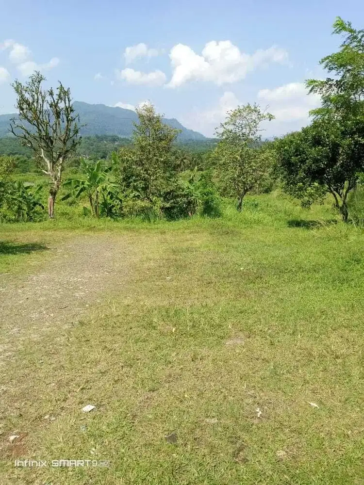 Jual tanah murah LT 3 ha, shm,  jalur kabupaten di lewati angkot