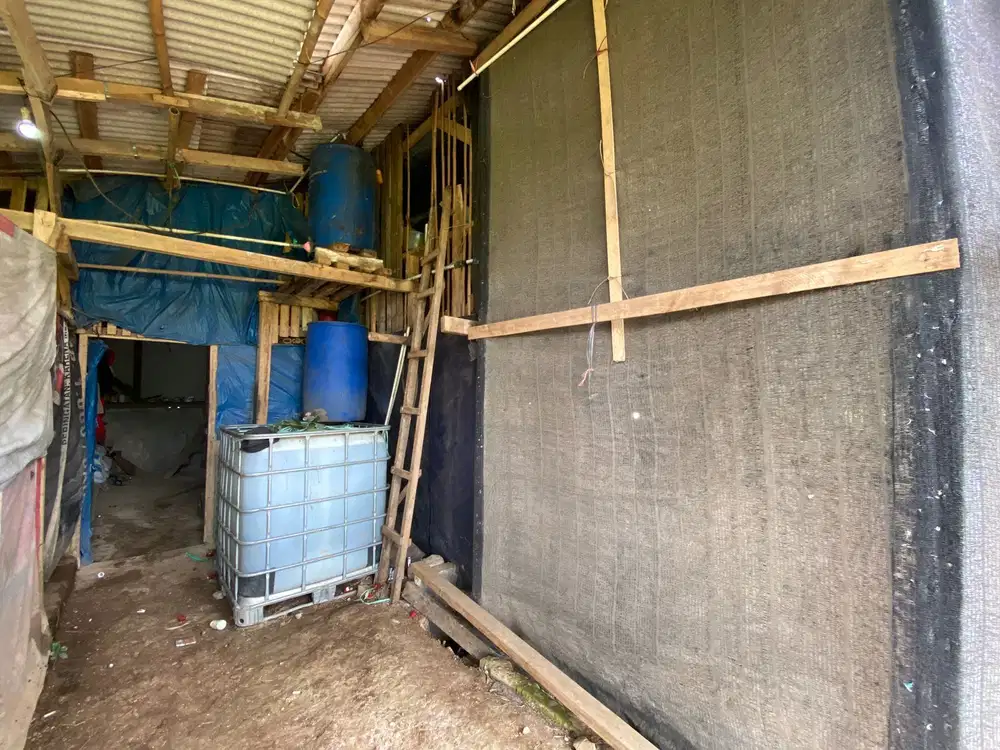 Jual Tanah dan Kandang Ayam Peternakan Masih Aktif di Purwakarta