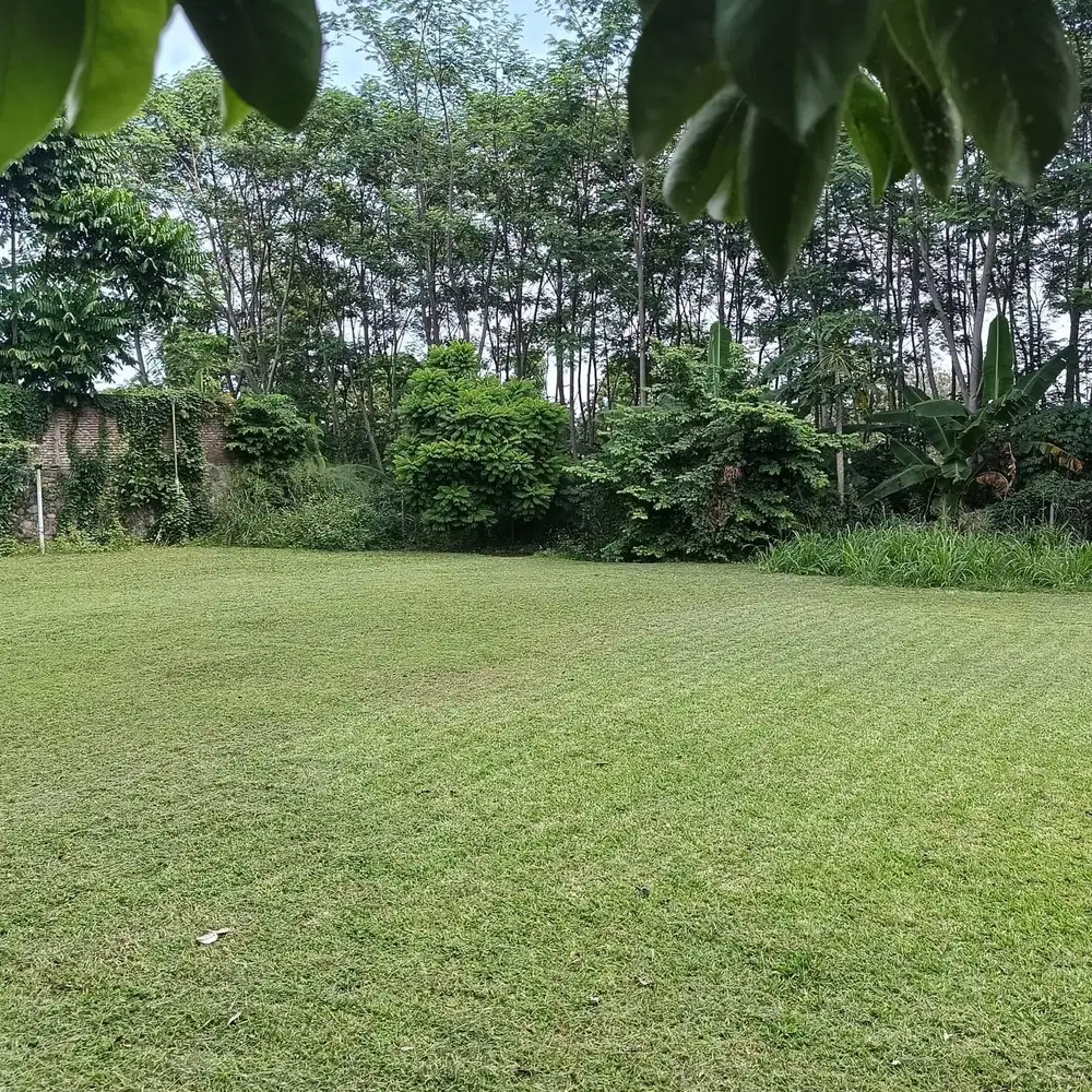 Tanah siap bangun dekat kampus Undip Tembalang