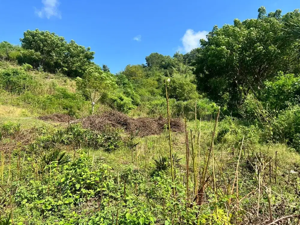 Tanah murah dekat pantai Awang Mandalika Lombok. Cocok untuk villa