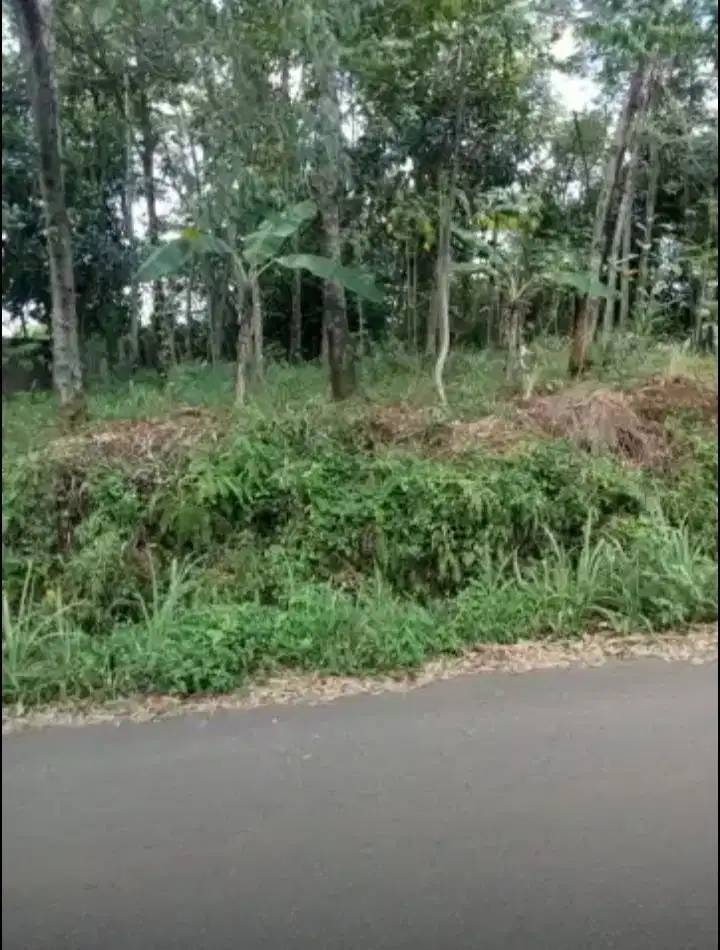 Jual tanah murah LT 2000m², nempel jln kabupaten