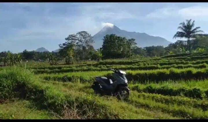 Tanah Murah Cangkringan Sleman Yogyakarta