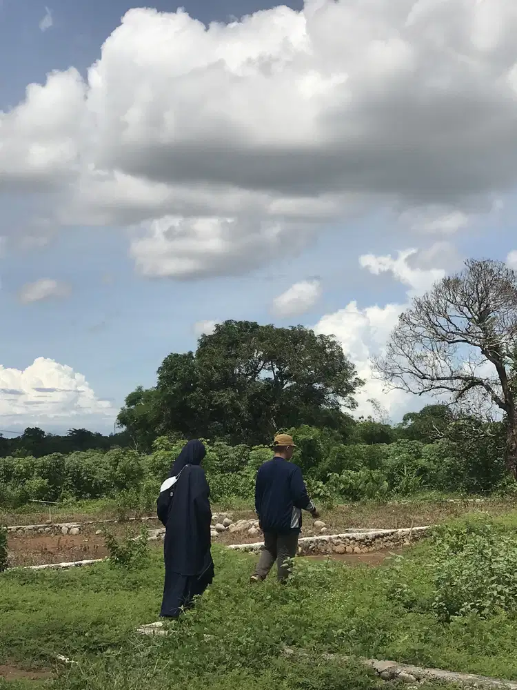 Tanah kavling murah di dekat perkotaan