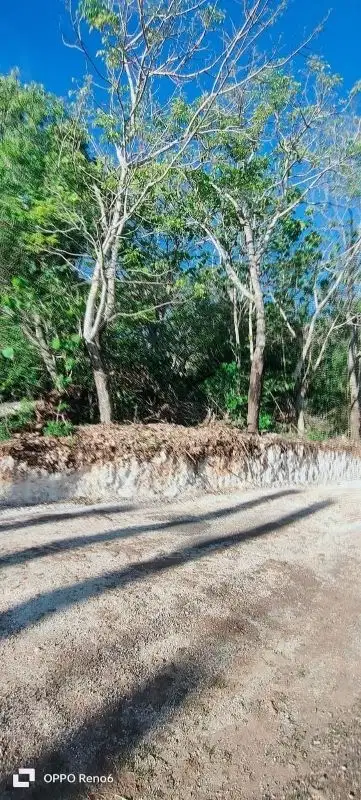 tanah cocok villa 30are  lokasi balangan