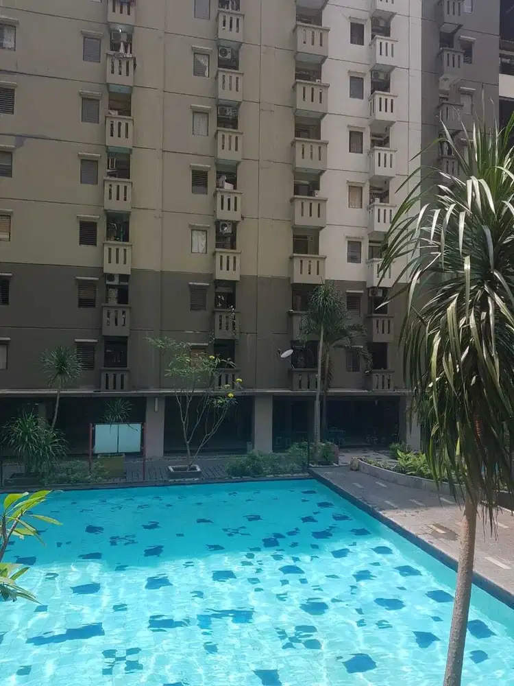 Murah Apartemen Gateway Ahmad Yani 2 Bedroom View Swimming Pool
